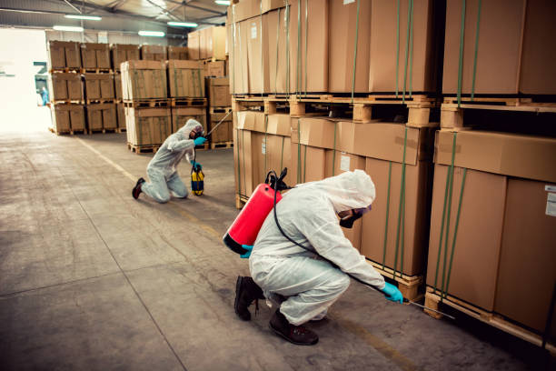 Best Rat Extermination Near Me  in Irvington, NY
