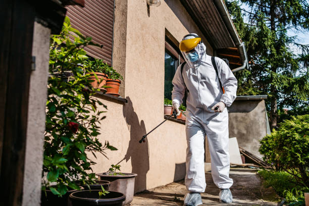 Best Insect Control  in Irvington, NY