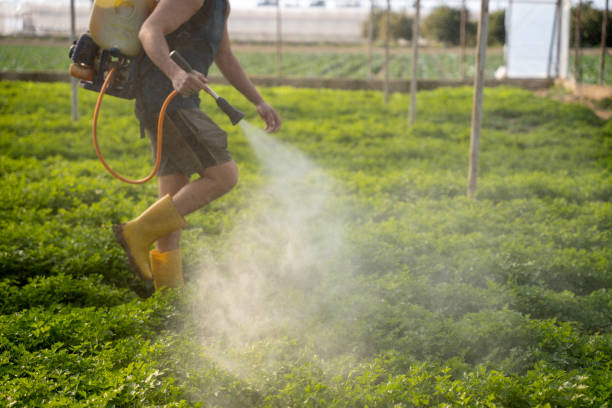 Reliable Irvington, NY Pest Control Solutions