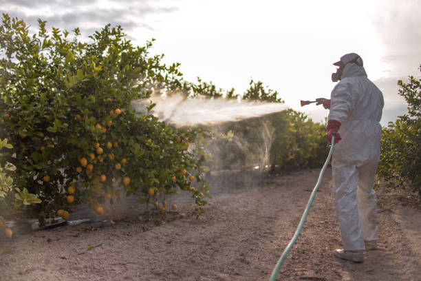 Best Affordable Pest Control Services  in Irvington, NY