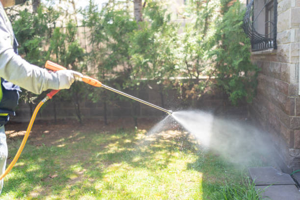 Best Local Pest Control Services  in Irvington, NY