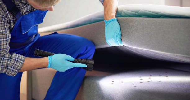 Best Pest Control Treatment  in Irvington, NY